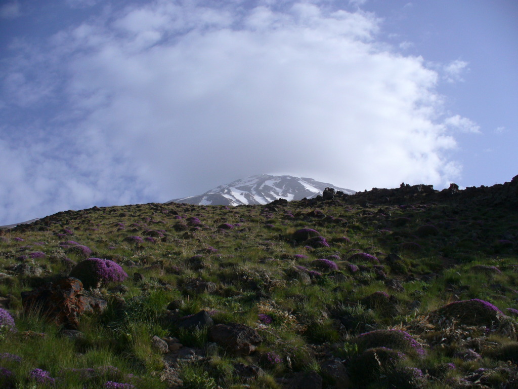 imgs_684