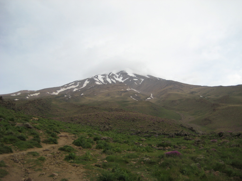 imgs_725