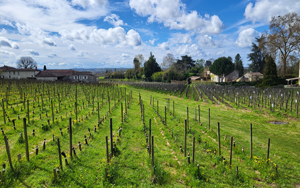 Bordeaux, St.Emilion - Francie