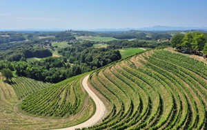 Mezimuří - Chorvatsko